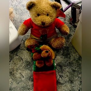 Christmas Teddy Bear and a Doggie stocking